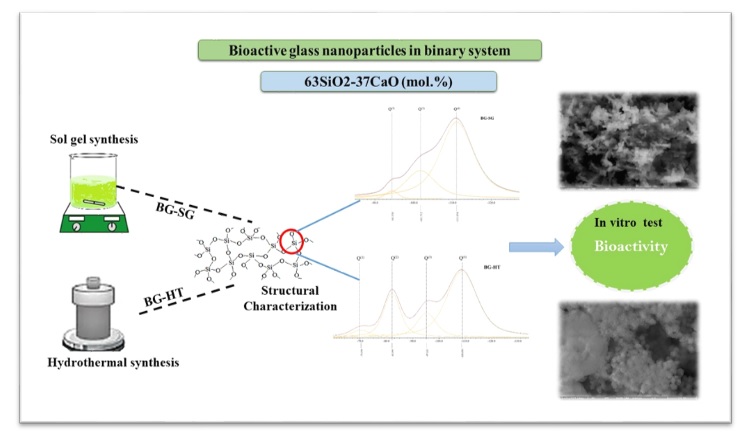 Synthesis Method Effect on Acellular Bioactivity of Bioglasses: Structural Analysis and Solid-State NMR